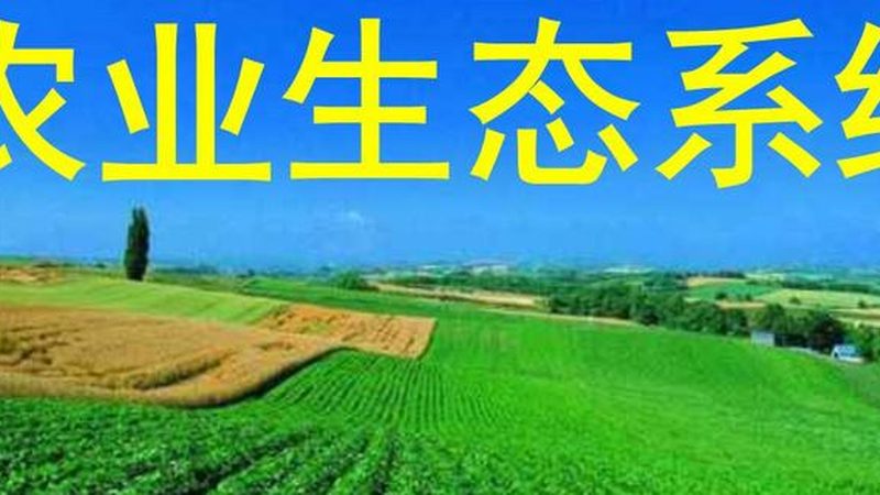生鲜配送车尺寸参数