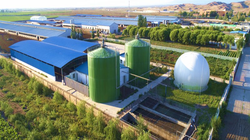 农民专业合作社：构建现代农业的微观基础
