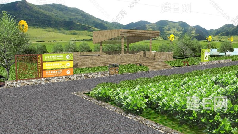 无公害蔬菜种植技术标准：守护舌尖上的安全