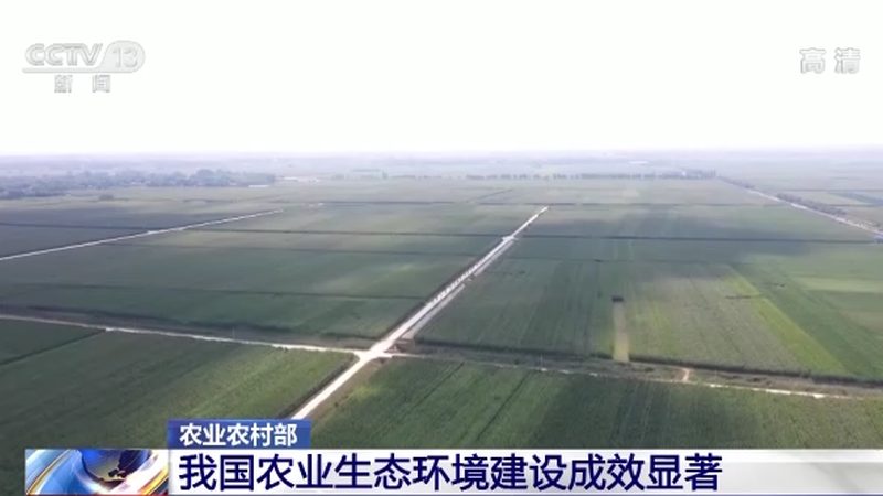 农业产业园运营：规避误区，打造高效生态圈**