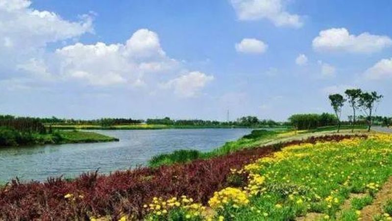 云南现代农业种植技术培训：从田间到课堂的转型之路