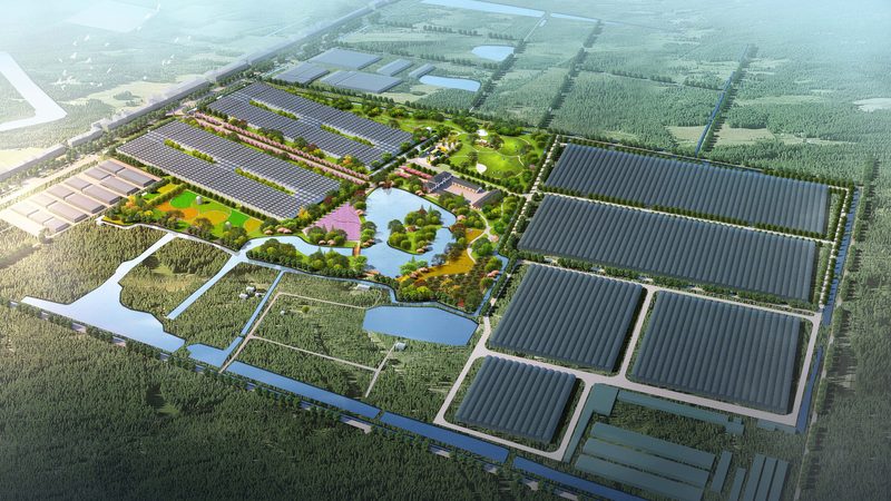 家庭农场补贴申请，流程详解助您顺利领款