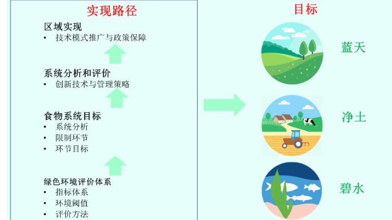 广州有机蔬菜批发市场代理：如何选择合规可靠的合作伙伴**