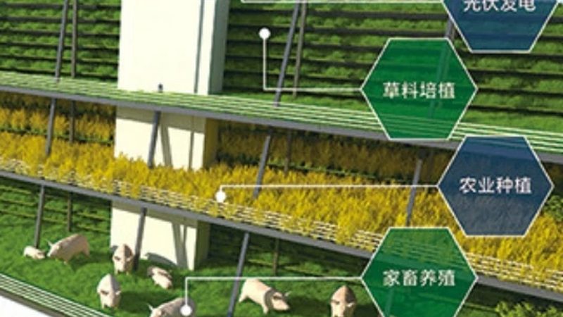 生鲜冷链物流加盟代理：如何构建高效生鲜供应链