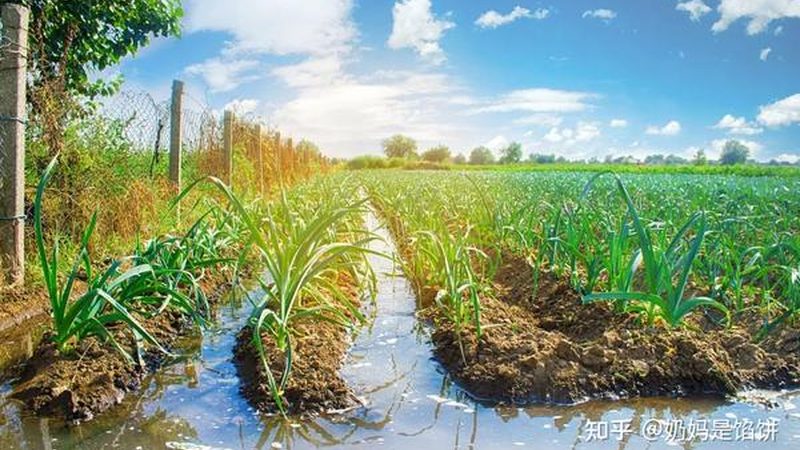 农业产业园配套设施造价，别让预算失控在看不见的地方