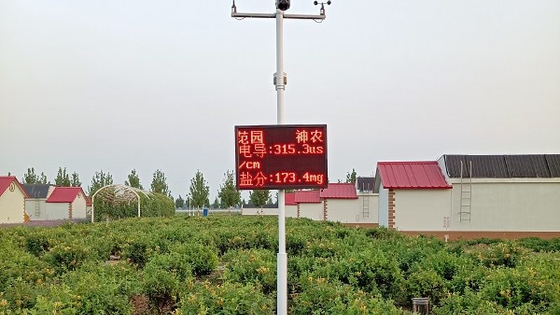绿色食品认证：揭秘认证厂家的背后逻辑