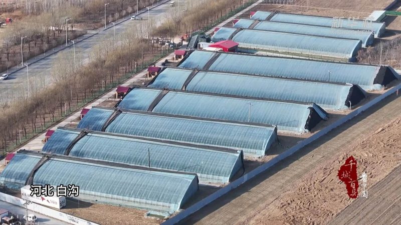 农产品批发市场税收优惠，这些注意事项你了解吗？**