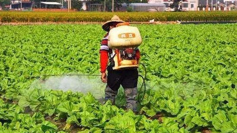 家庭农场加盟，政策扶持知多少？**